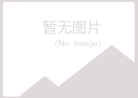 青岛李沧夏青咨询有限公司